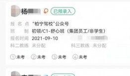 驾校视频爆料大全下载,揭秘学车那些不为人知的幕后真相